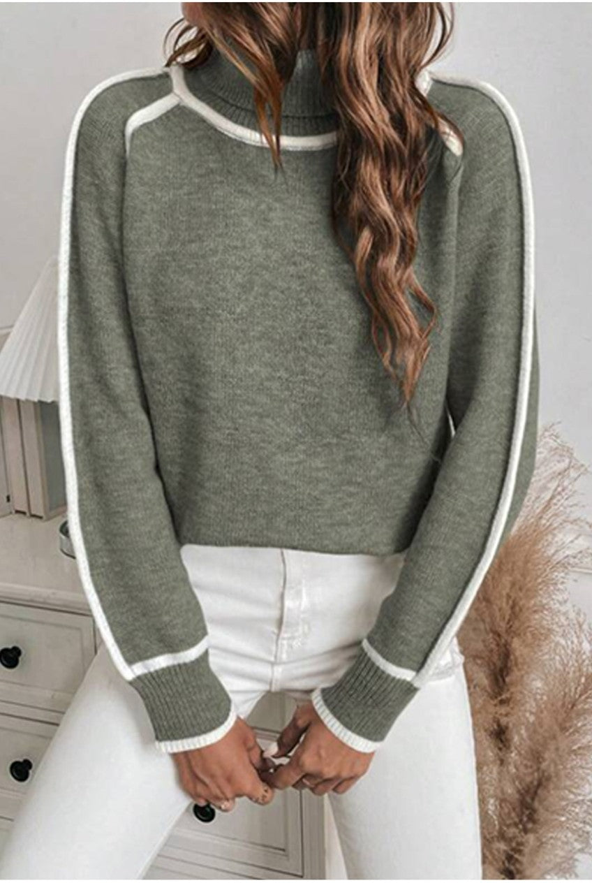 Stripe Trim Turtleneck Sweater Cropped