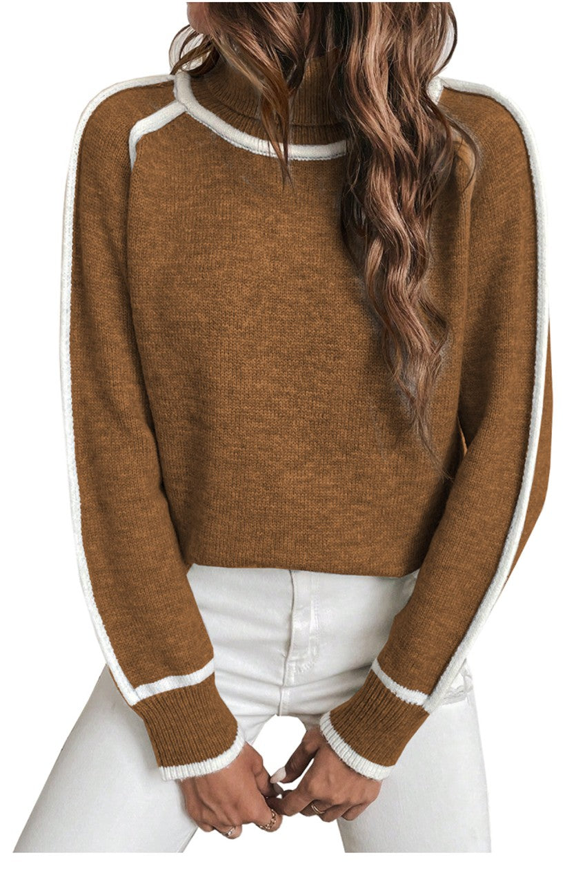 Stripe Trim Turtleneck Sweater Cropped