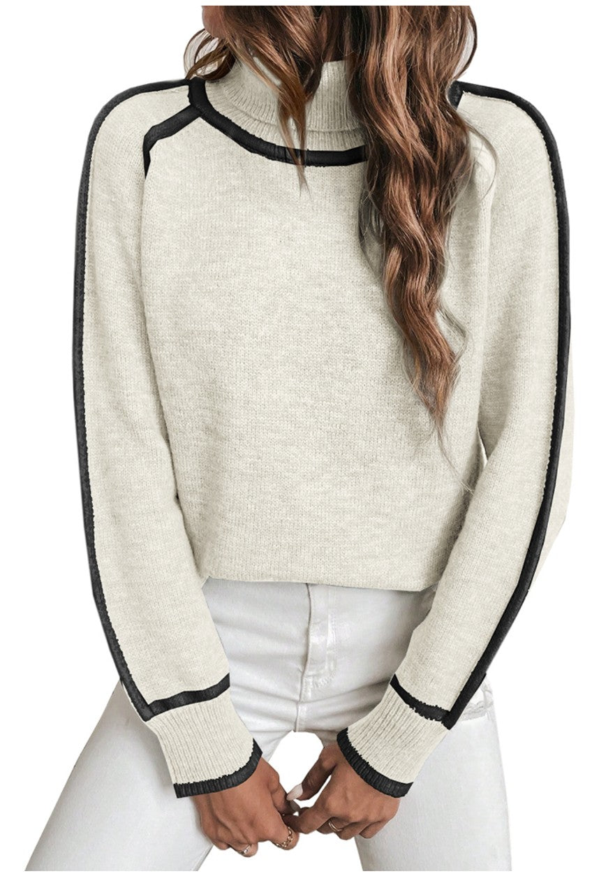 Stripe Trim Turtleneck Sweater Cropped