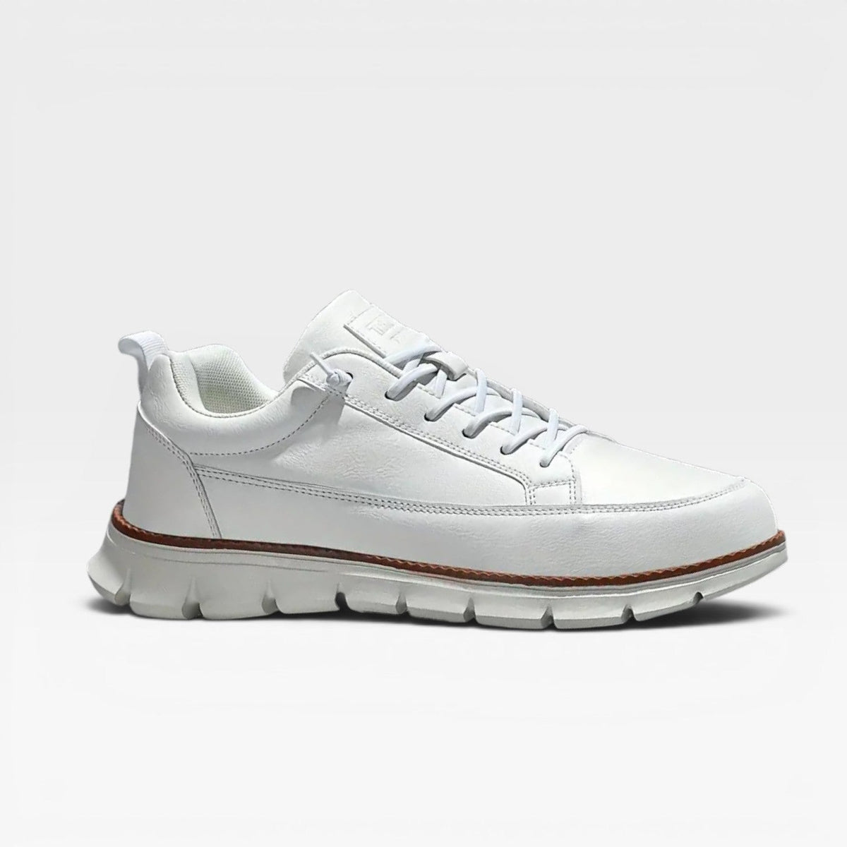 Lace Up Casual Sneakers Low Top